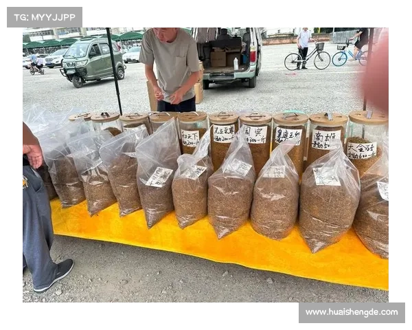 应用DK宏技术研究过程中需重点关注的关键问题探讨与综合思考 应用DK宏技术研究过程中需重点关注的关键问题探讨与综合思考