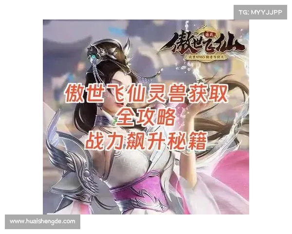 红字装备如何通过有效净化方式全面提升人物属性战力攻略解析 红字装备如何通过有效净化方式全面提升人物属性战力攻略解析