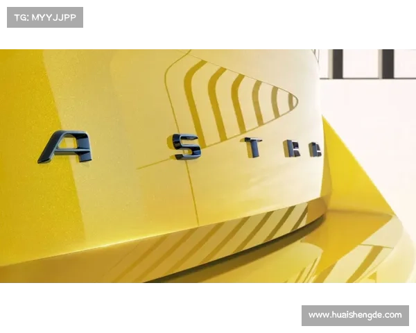 巴舒亚伊语言选择的深层次解析：文化身份与交流策略的双重考量